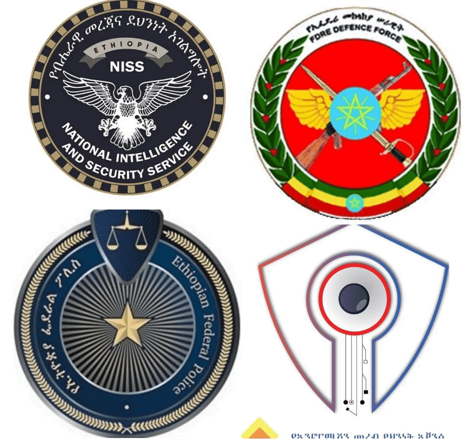 Joint Security Task Force