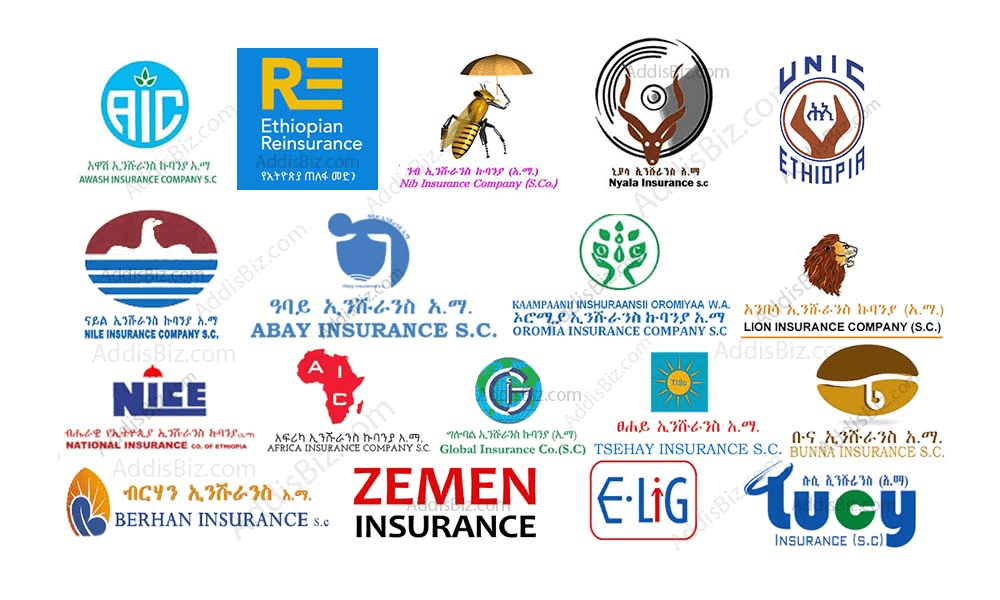 Best Insurance Companies in Ethiopia for 2023