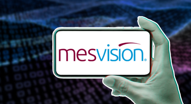 MESVision attack exposes nearly 350K individuals
