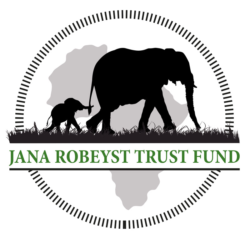 This Trust Fund Offering Grants to Individuals or Organizations in Sub-Saharan Africa